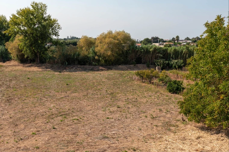 Terreno para Venda em Vermelha Foto 9