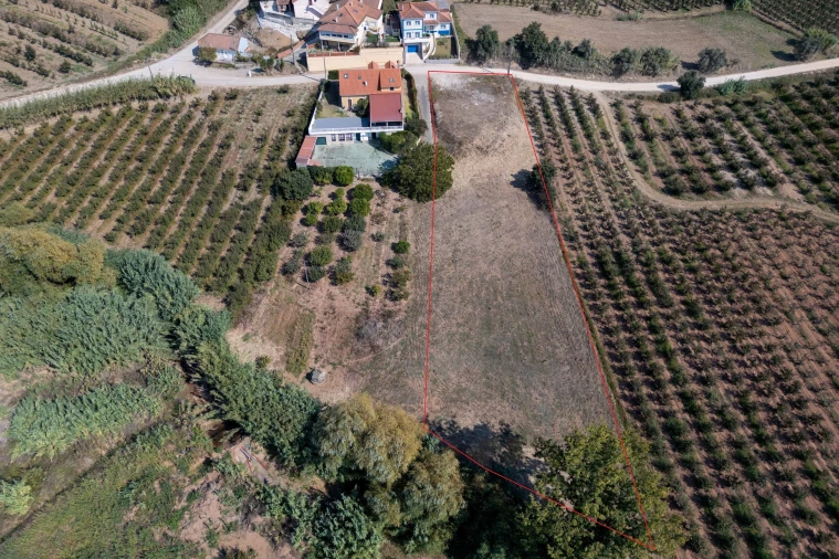 Terreno para Venda em Vermelha Foto 5