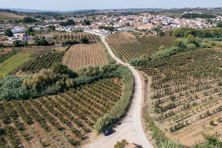 Terreno para Venda em Vermelha Foto 20