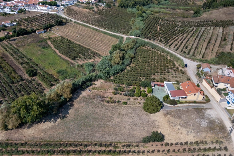 Terreno para Venda em Vermelha Foto 3