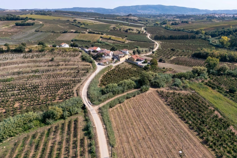 Terreno para Venda em Vermelha Foto 19
