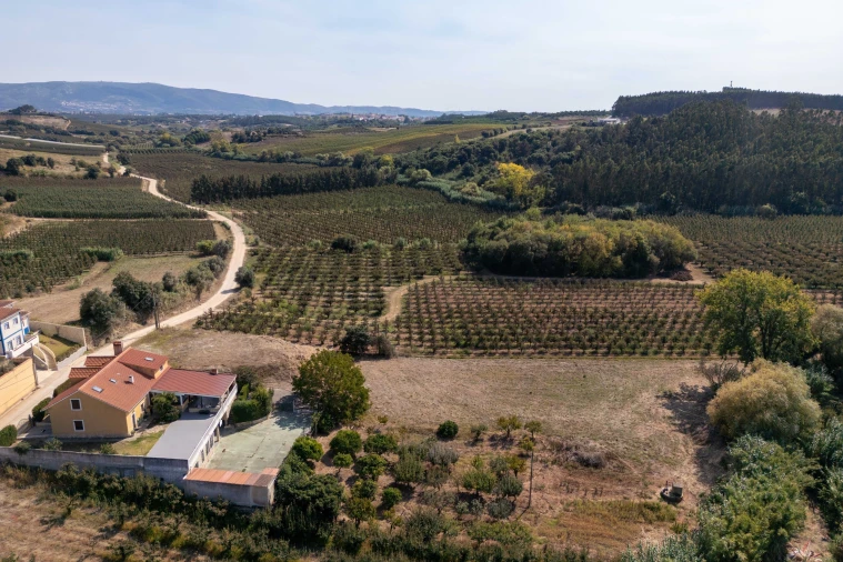 Terreno para Venda em Vermelha Foto 6