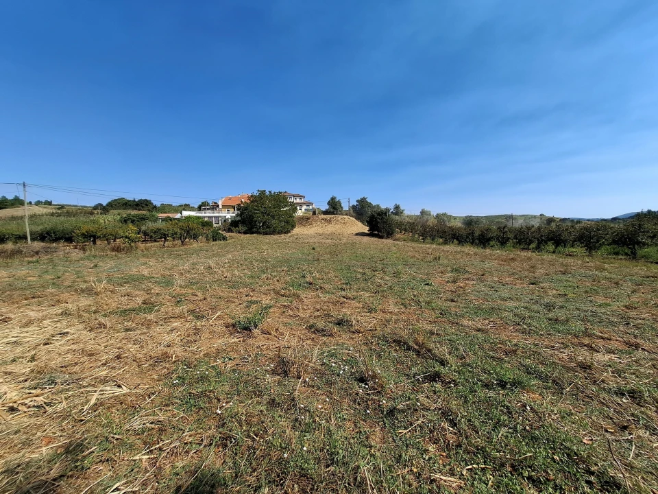 Terreno para Venda em Vermelha Foto 16