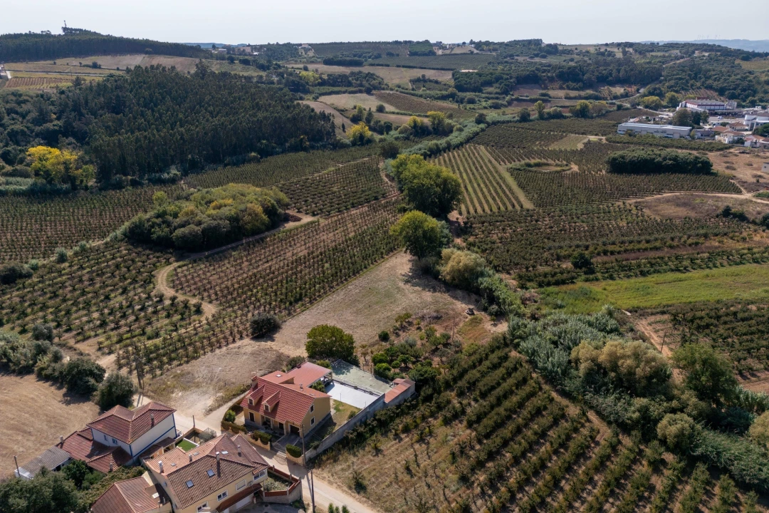 Terreno para Venda em Vermelha Foto 17