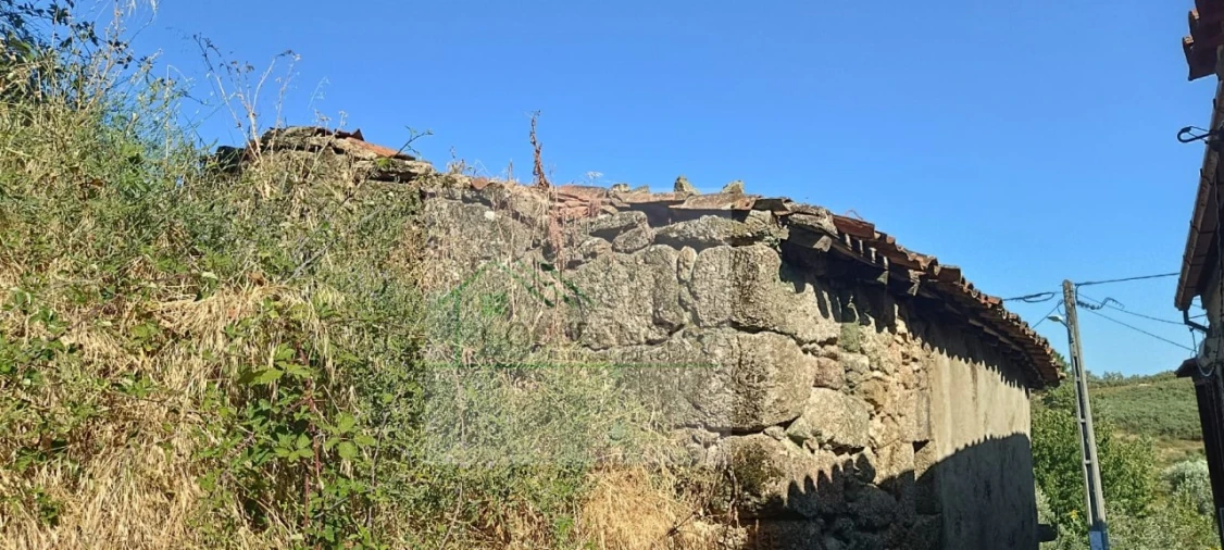 Moradia T2 para Venda em Gonçalo Foto 4