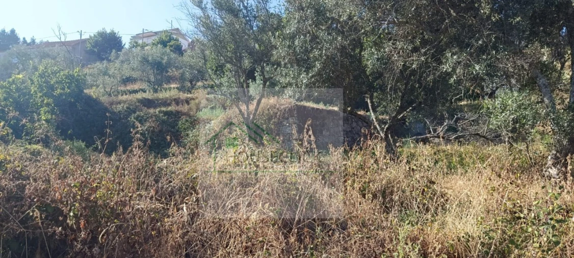 Moradia T2 para Venda em Gonçalo Foto 5