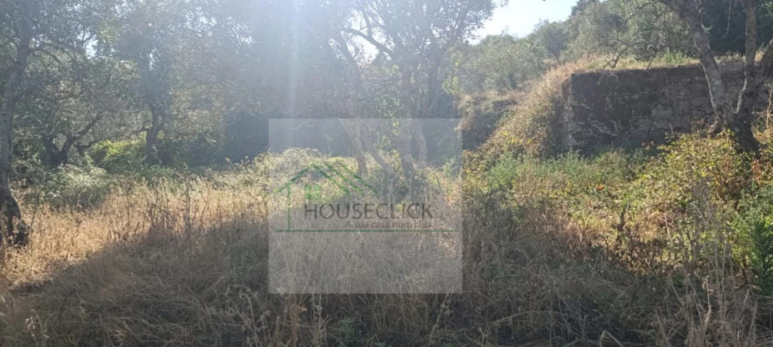 Moradia T2 para Venda em Gonçalo Foto 7