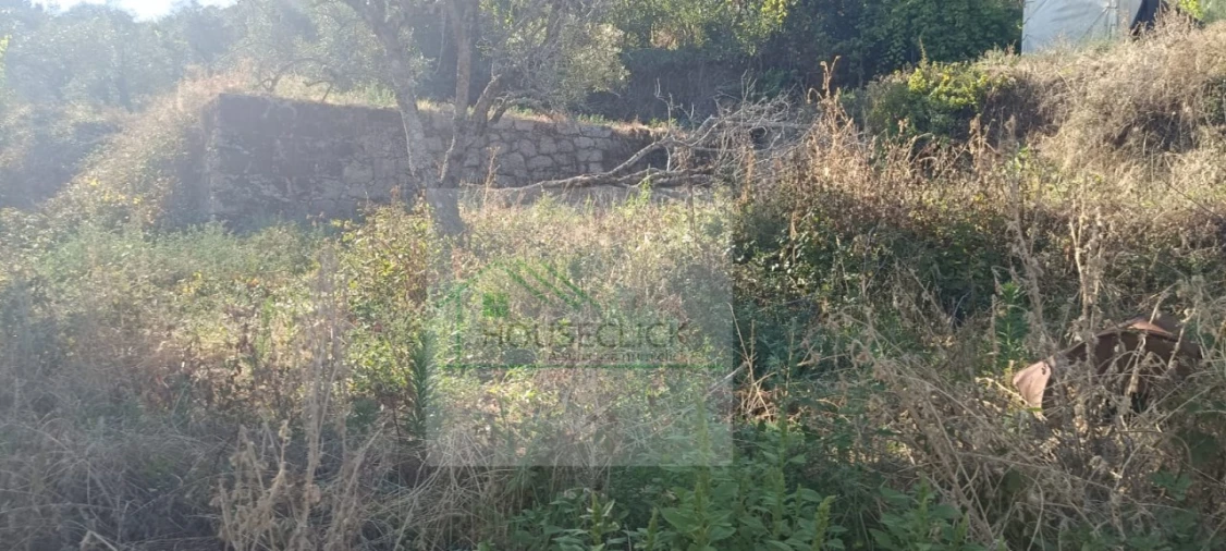 Moradia T2 para Venda em Gonçalo Foto 8