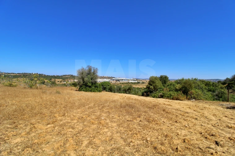 Terreno para Venda em Algoz e Tunes Foto 2