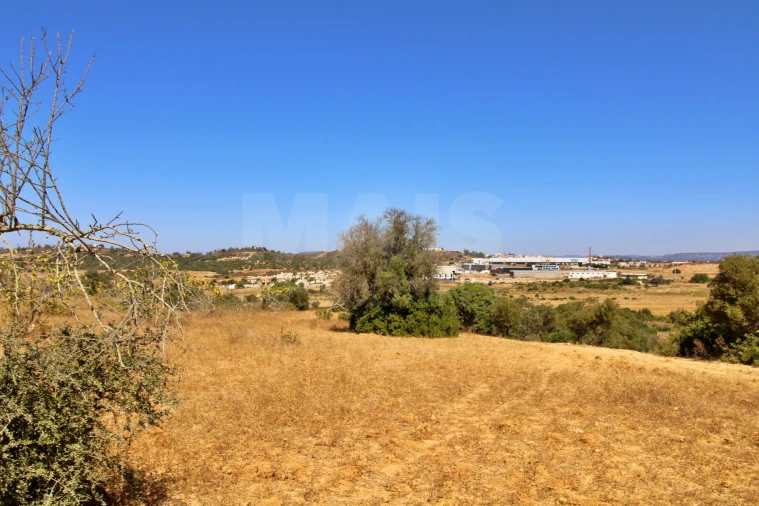 Terreno para Venda em Algoz e Tunes Foto 6