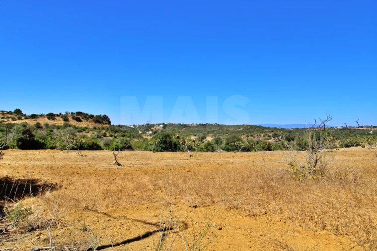 Terreno para Venda em Algoz e Tunes Foto 10