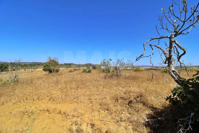 Terreno para Venda em Algoz e Tunes Foto 12