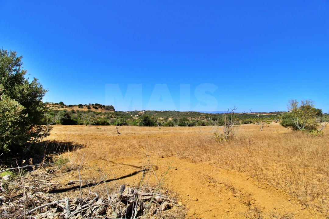 Terreno para Venda em Algoz e Tunes Foto 9