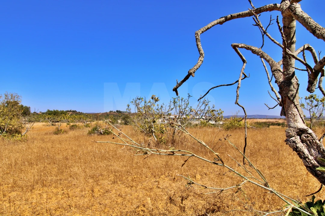 Terreno para Venda em Algoz e Tunes Foto 11