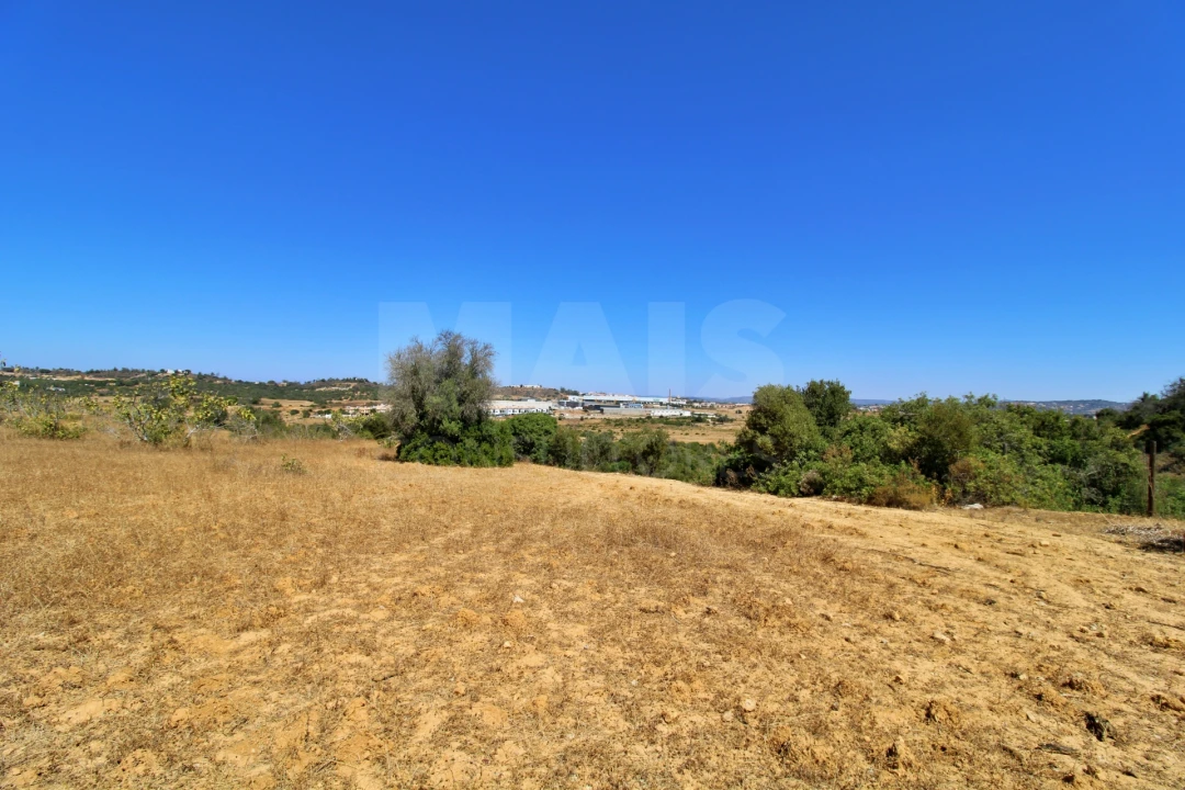 Terreno para Venda em Algoz e Tunes Foto 2