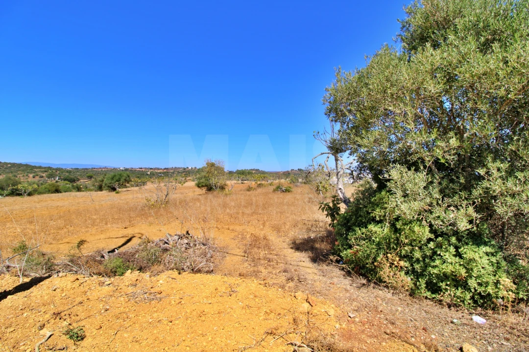 Terreno para Venda em Algoz e Tunes Foto 8