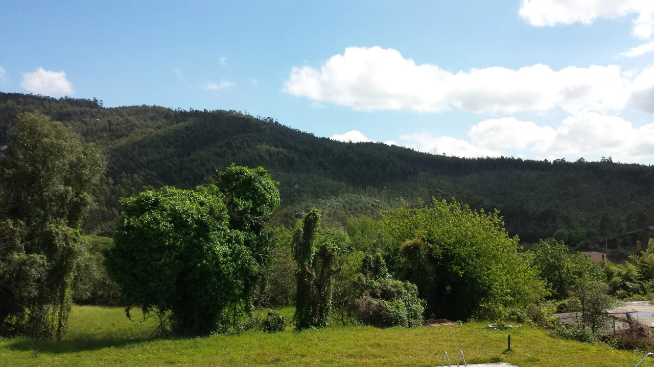 Quinta T5 para Venda em Nogueira, Fraião e Lamaçães Foto 16