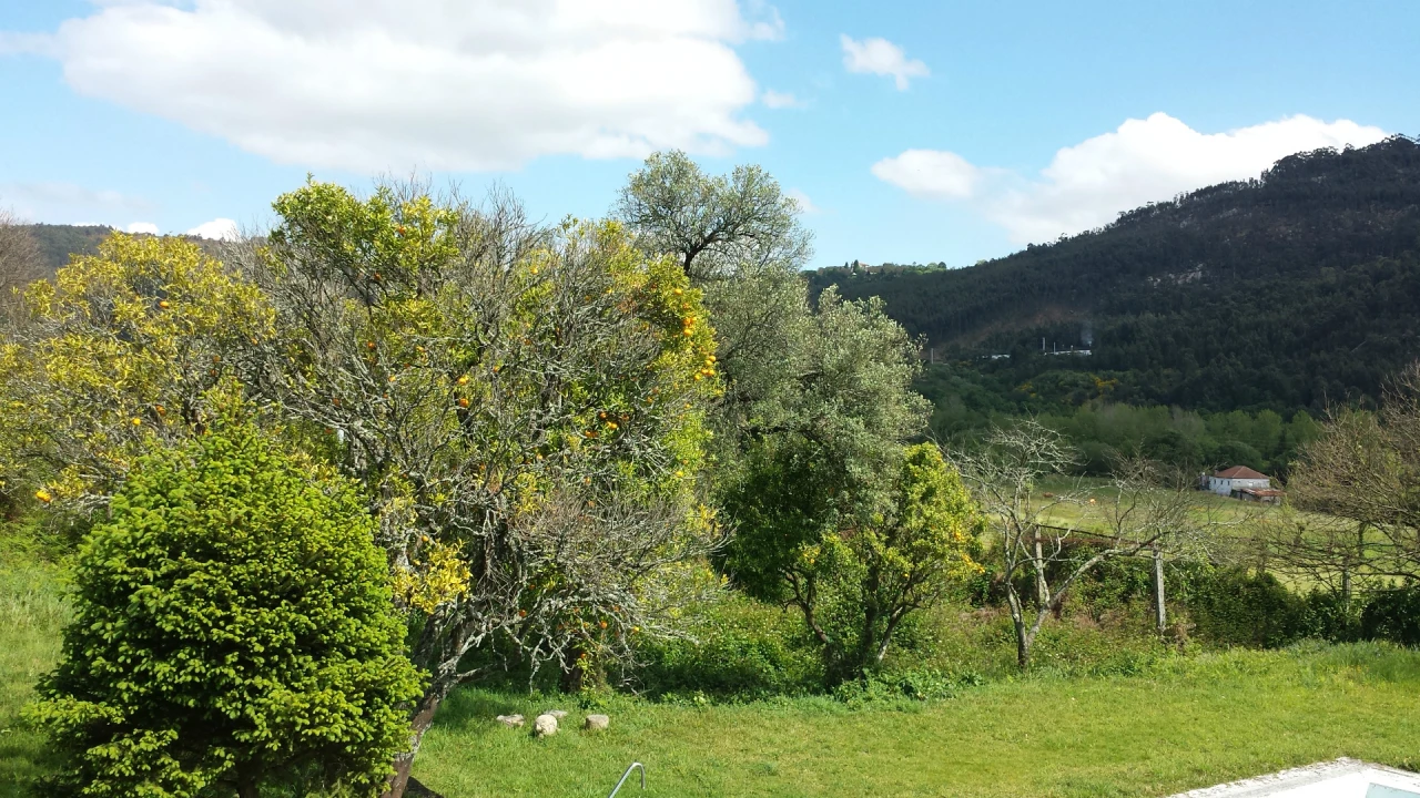 Quinta T5 para Venda em Nogueira, Fraião e Lamaçães Foto 24