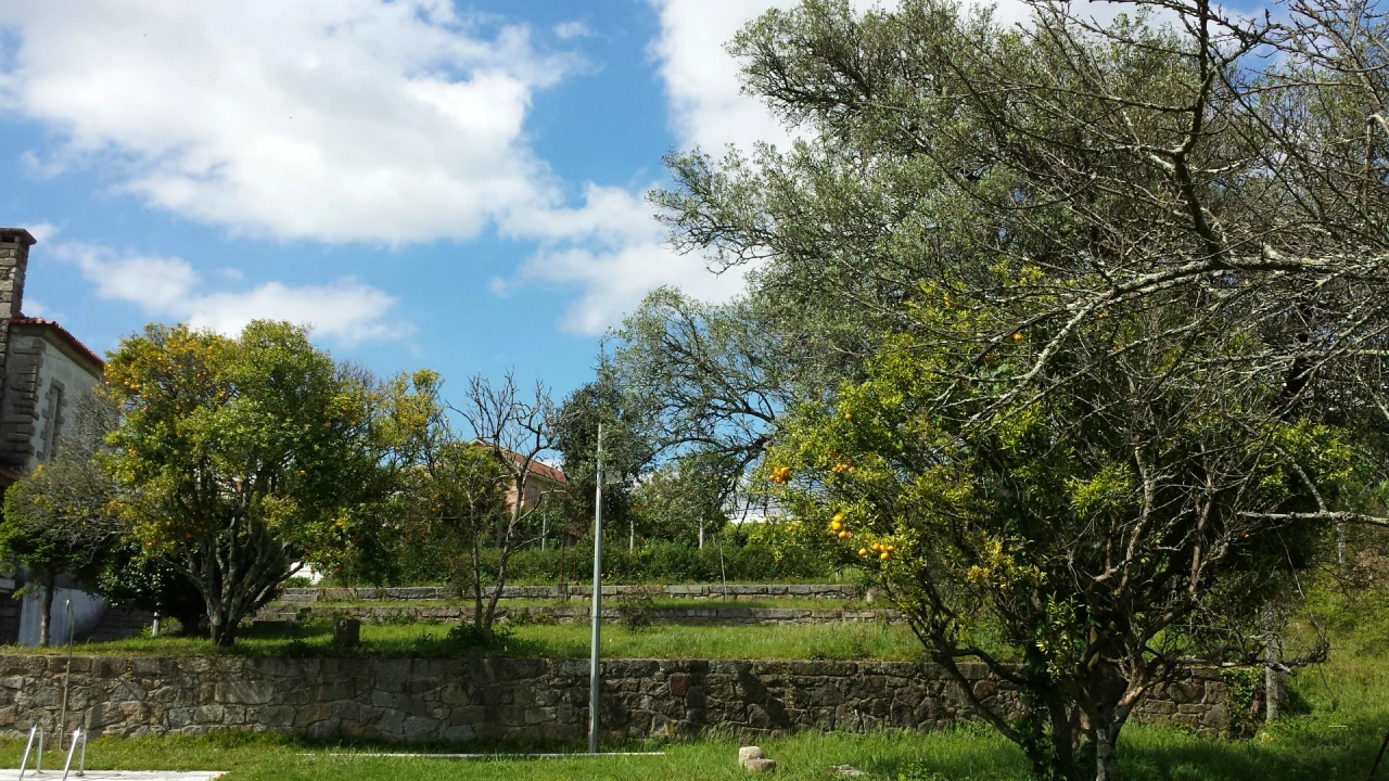 Quinta T5 para Venda em Nogueira, Fraião e Lamaçães Foto 28