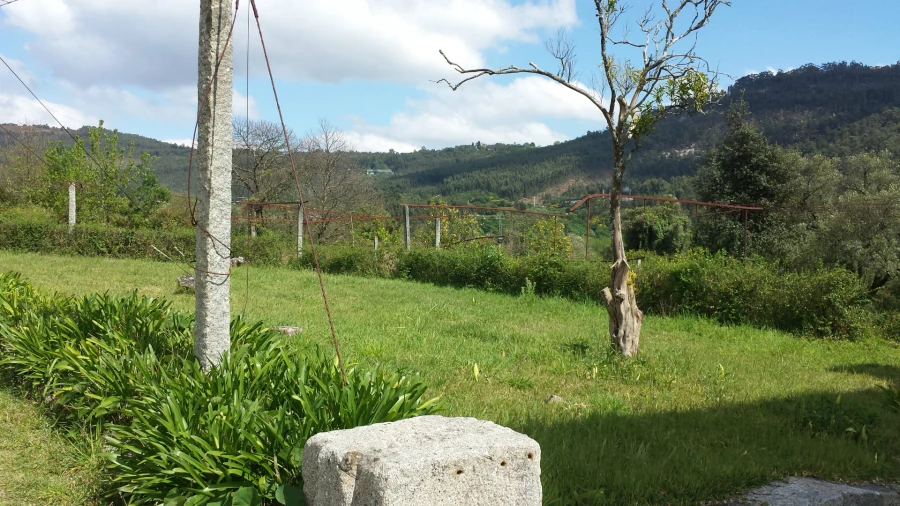 Quinta T5 para Venda em Nogueira, Fraião e Lamaçães Foto 3