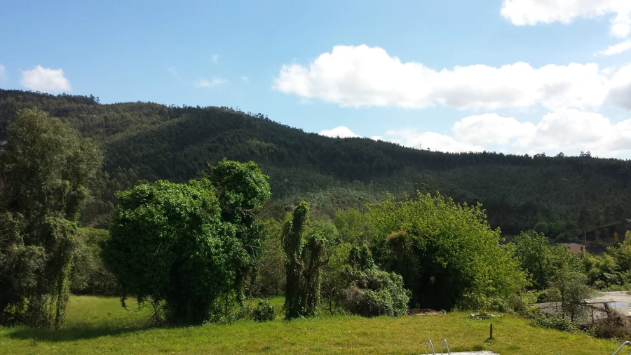 Quinta T5 para Venda em Nogueira, Fraião e Lamaçães Foto 16
