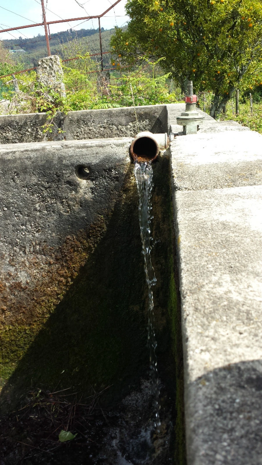Quinta T5 para Venda em Nogueira, Fraião e Lamaçães Foto 17