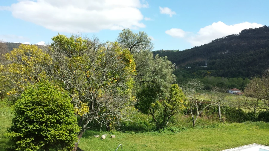 Quinta T5 para Venda em Nogueira, Fraião e Lamaçães Foto 24