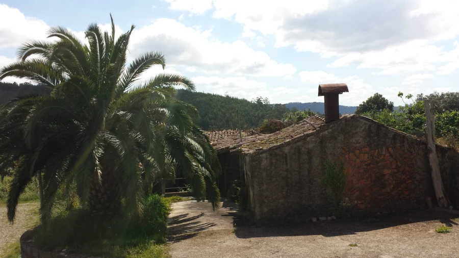 Quinta T5 para Venda em Nogueira, Fraião e Lamaçães Foto 25