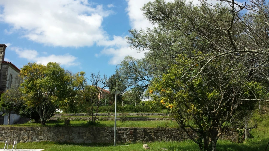 Quinta T5 para Venda em Nogueira, Fraião e Lamaçães Foto 28