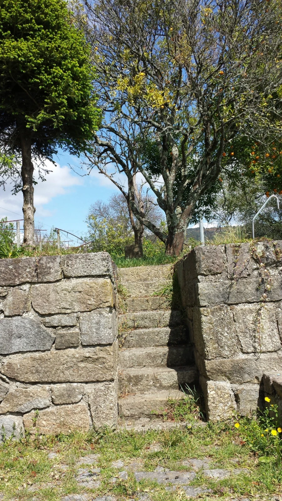 Quinta T5 para Venda em Nogueira, Fraião e Lamaçães Foto 30