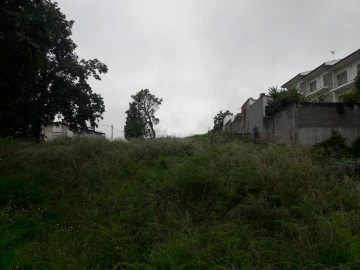 Terreno para Venda em Ferreiros e Gondizalves