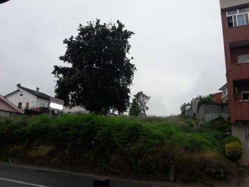 Terreno para Venda em Ferreiros e Gondizalves