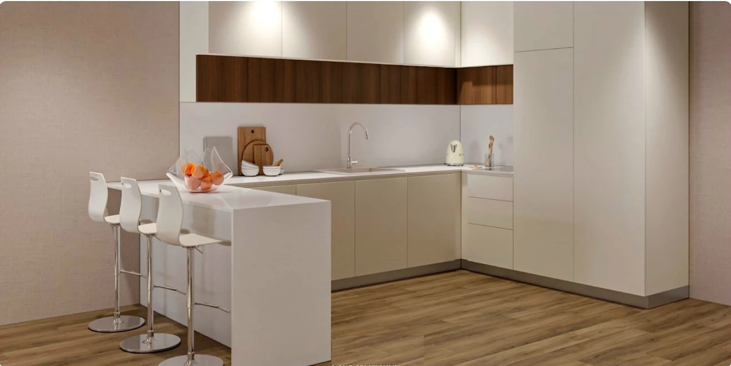 Apartamento T2 para Venda em São Vitor (Braga) Foto 4