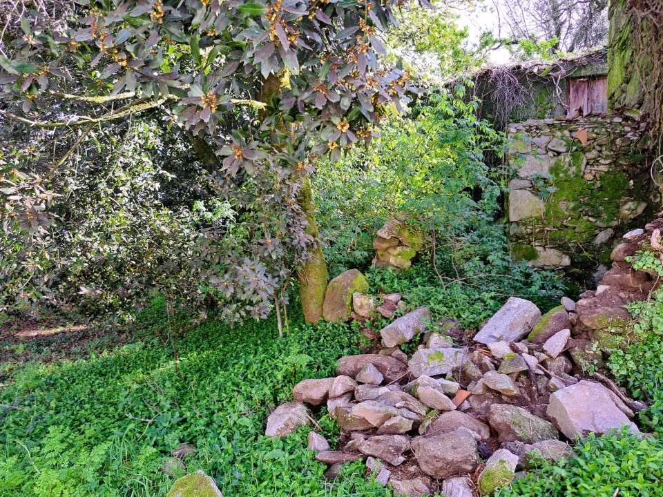 Quinta T0 para Venda em Turiz Foto 7