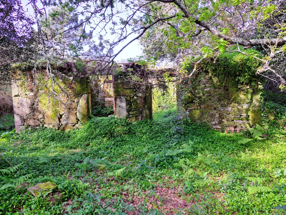 Quinta T0 para Venda em Turiz Foto 9