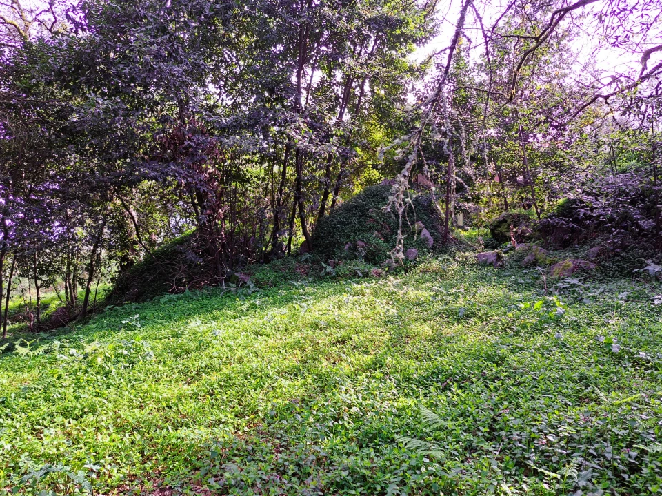 Quinta T0 para Venda em Turiz Foto 10