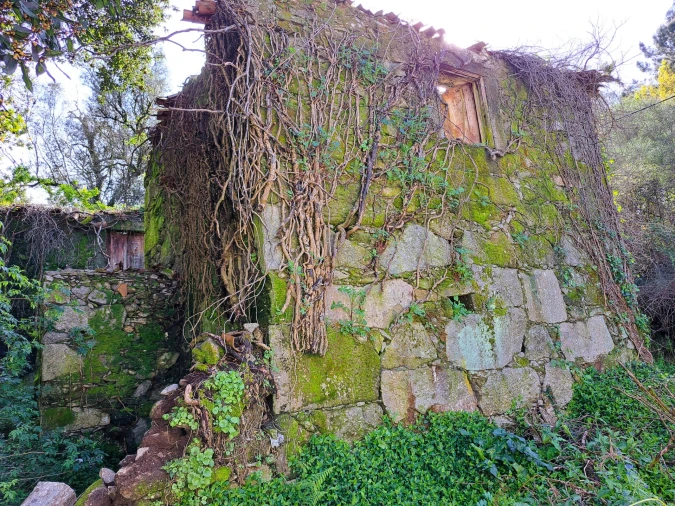 Quinta T0 para Venda em Turiz Foto 8