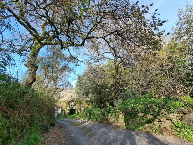 Quinta T0 para Venda em Turiz Foto 2