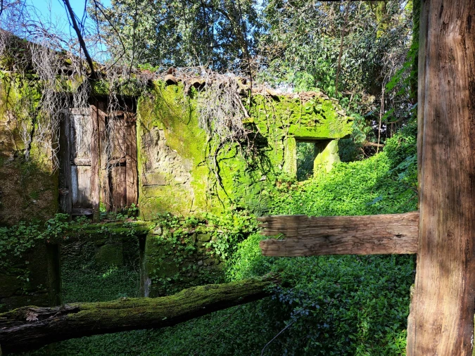 Quinta T0 para Venda em Turiz Foto 6