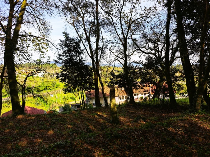 Quinta T0 para Venda em Turiz Foto 12