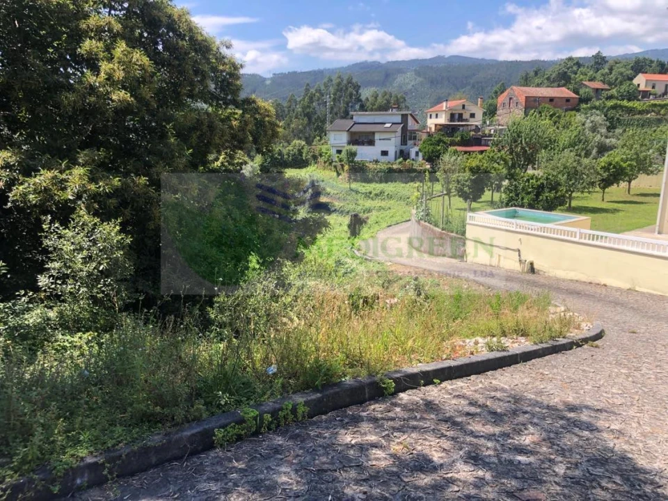 Terreno para Venda em Cedrim e Paradela Foto 2
