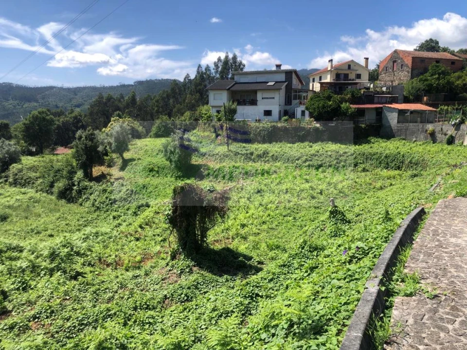 Terreno para Venda em Cedrim e Paradela Foto 3