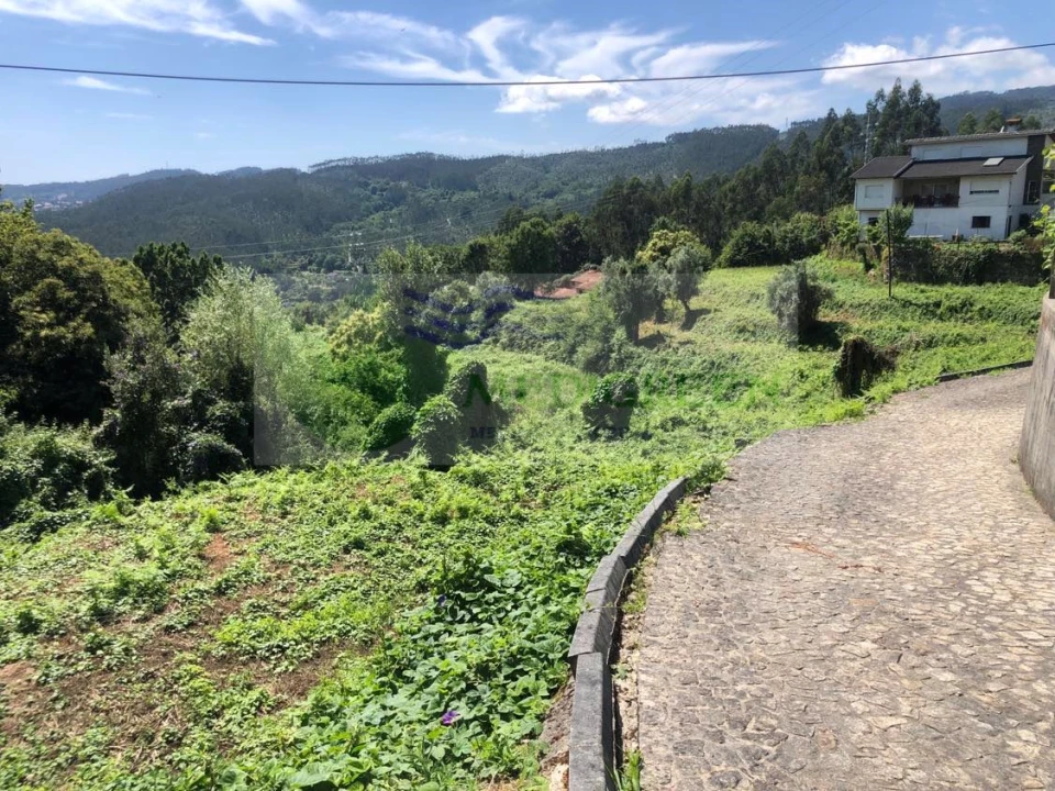 Terreno para Venda em Cedrim e Paradela Foto 4