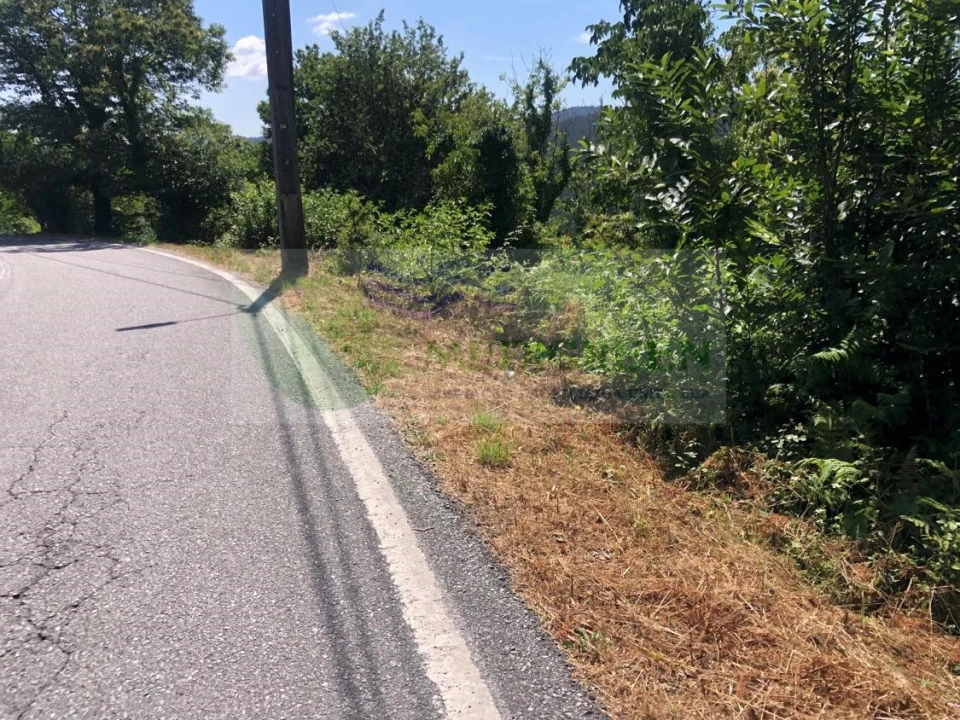 Terreno para Venda em Cedrim e Paradela Foto 6
