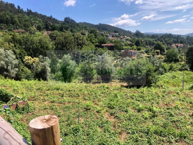 Terreno para Venda em Cedrim e Paradela Foto 11