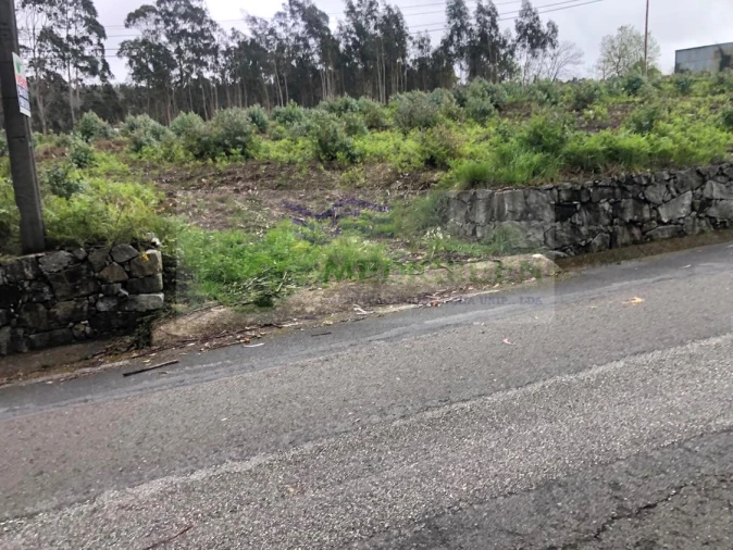 Terreno para Venda em Silva Escura e Dornelas Foto 5