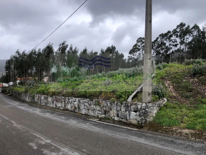 Terreno para Venda em Silva Escura e Dornelas Foto 6