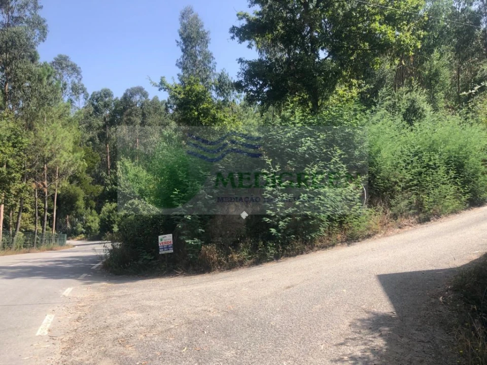 Terreno para Venda em Cedrim e Paradela Foto 8
