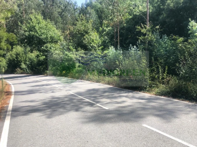 Terreno para Venda em Cedrim e Paradela Foto 9