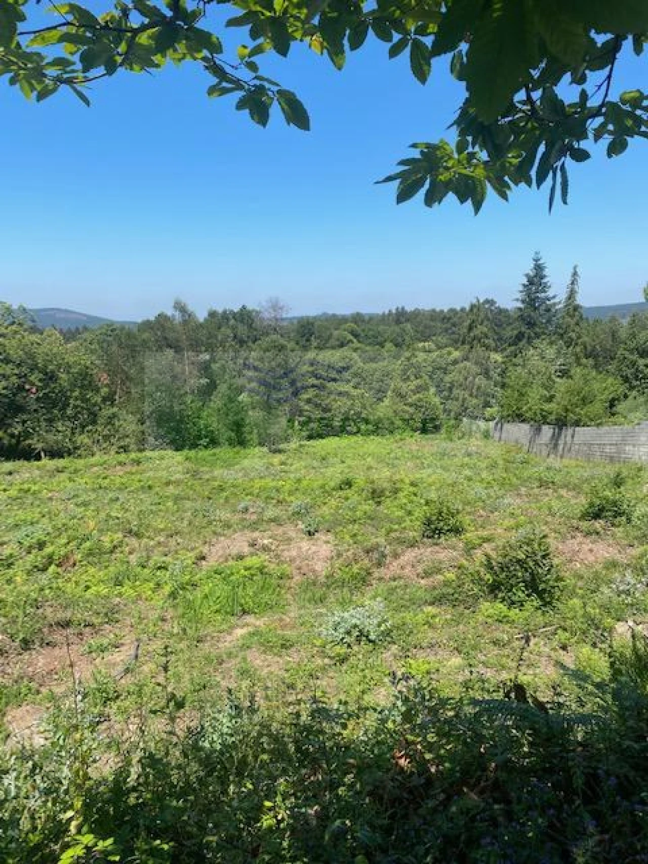 Terreno para Venda em Silva Escura e Dornelas Foto 2